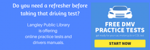 driving test link